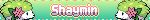 shaymin